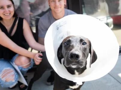 Two people holding their new dog wearing a cone.